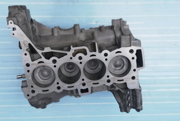 Reparatii motor LAND ROVER DISCOVERY SPORT