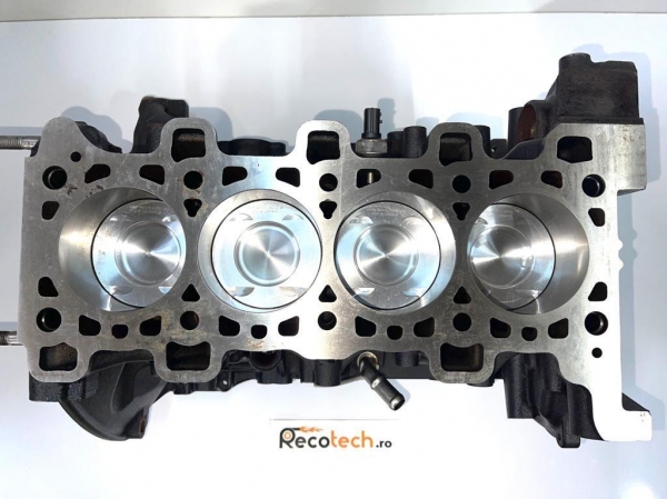 Reparatii blocuri motoare ambielate RENAULT MASTER III FURGON (FV)